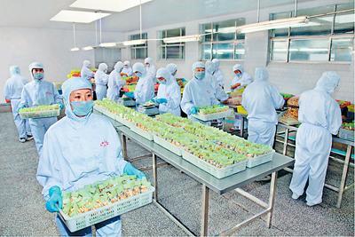 寵物食品出口“重鎮”悄然崛起