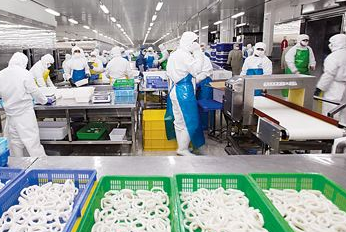 開辦食品加工廠的準備工作