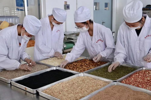 食品藥品學院月餅生產實訓圓滿結束，學生實踐能力顯著提升