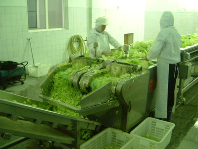 舊食品生產線設備荊門進口報關與水產品收購流程解析