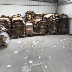 工廠廢料與水產品收購 資源循環與經濟效益的雙贏