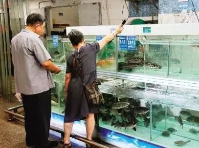 佛山淡水鮮活水產(chǎn)品質(zhì)量安全監(jiān)管升級(jí)加碼，筑牢產(chǎn)地到餐桌的“防火墻”